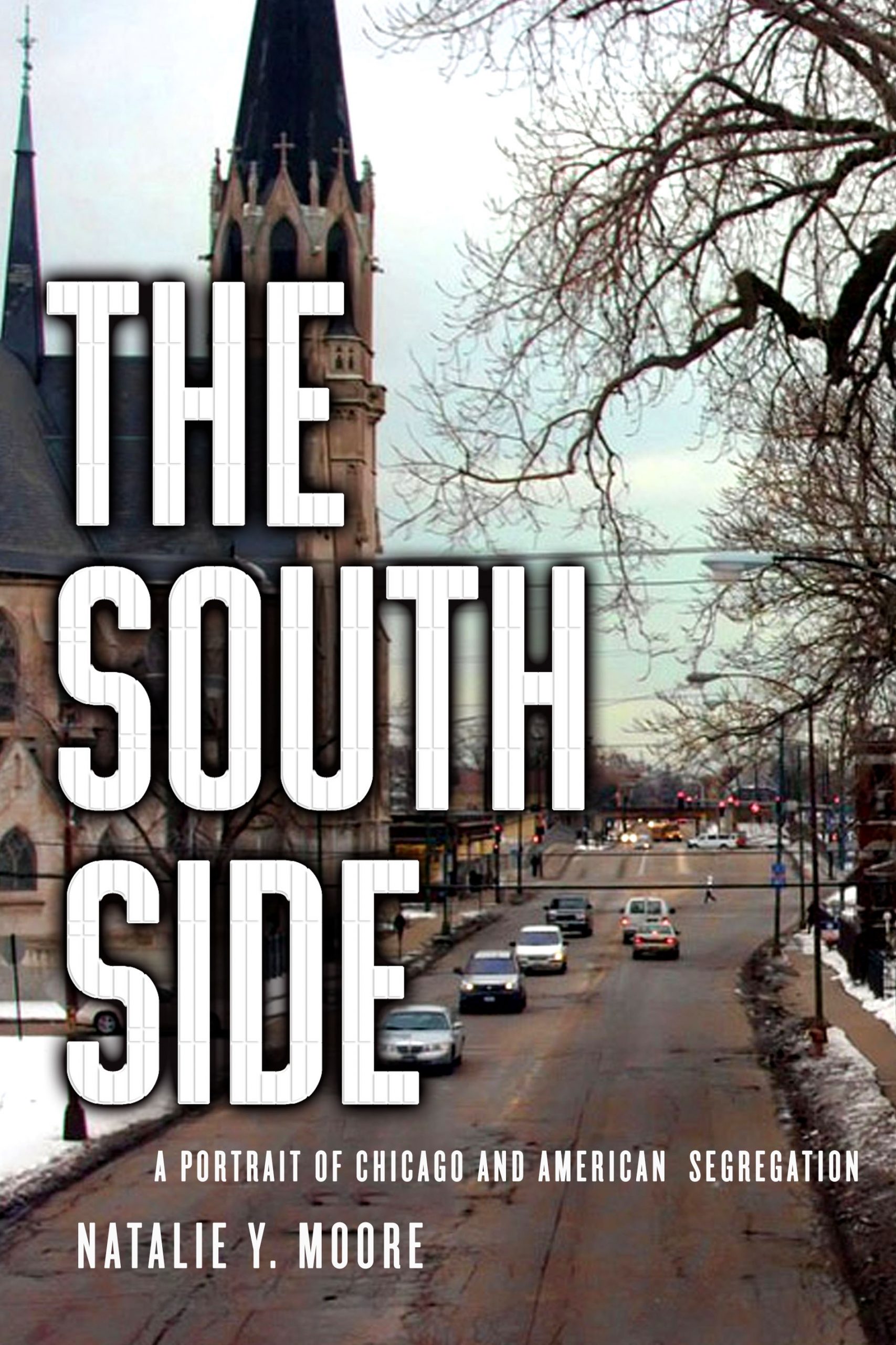 The South Side book Natalie Y. Moore