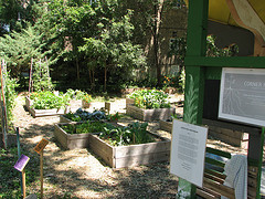 community gardens