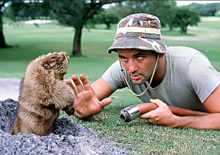 Caddyshack Bill Murray SNL Chicago