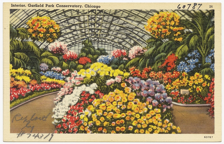 Garfield Park Conservatory historic postcard