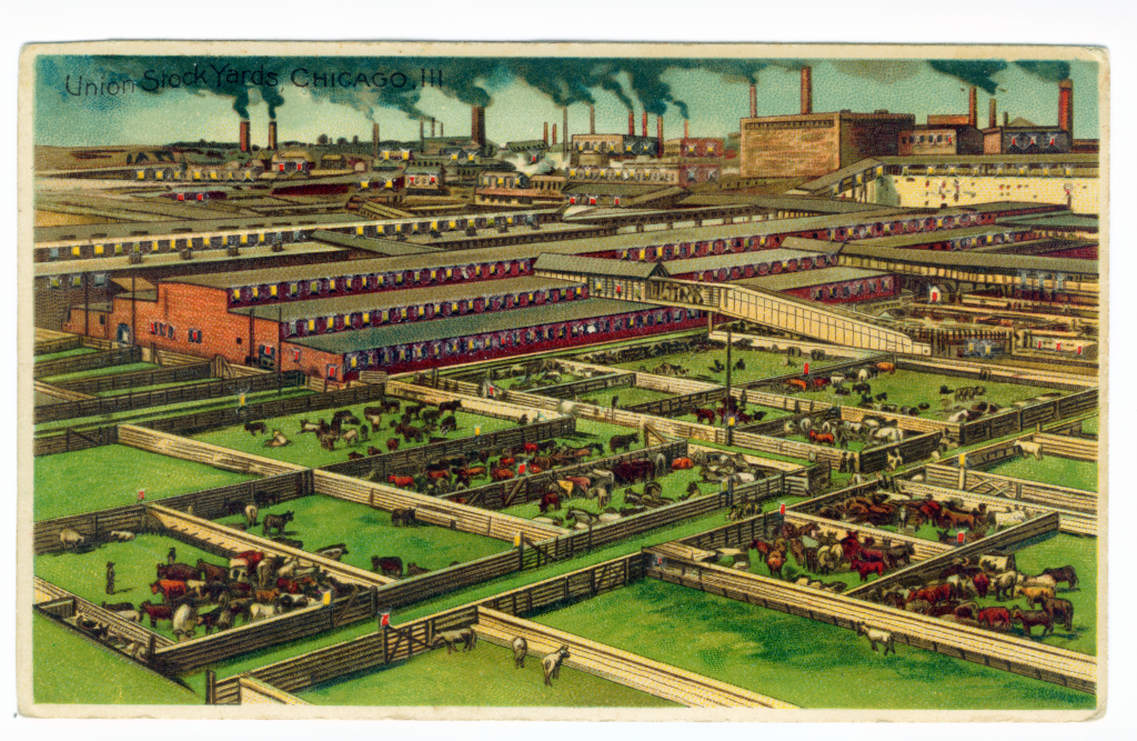Chicago-style hot dog union stockyards