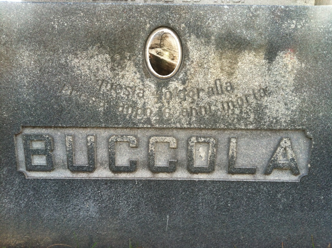 Buccola Grave Chicago Cemeteries History