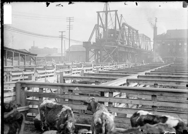 history of chicago transportation union stock yards railroads