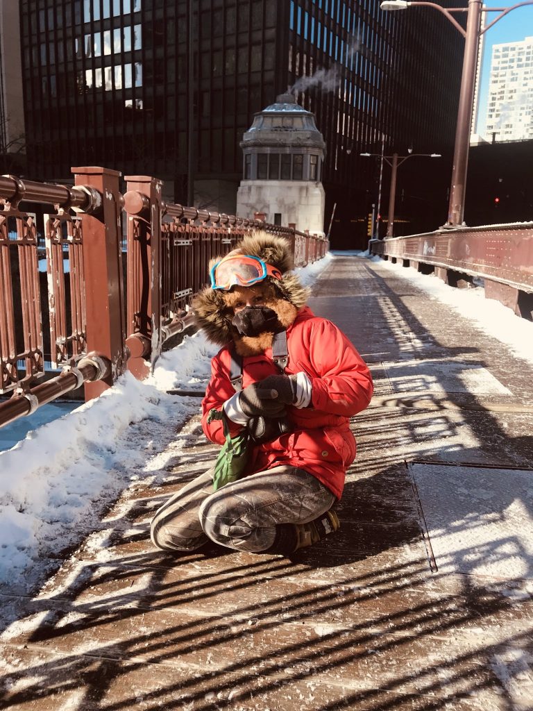 chicago polar vortex on bridge