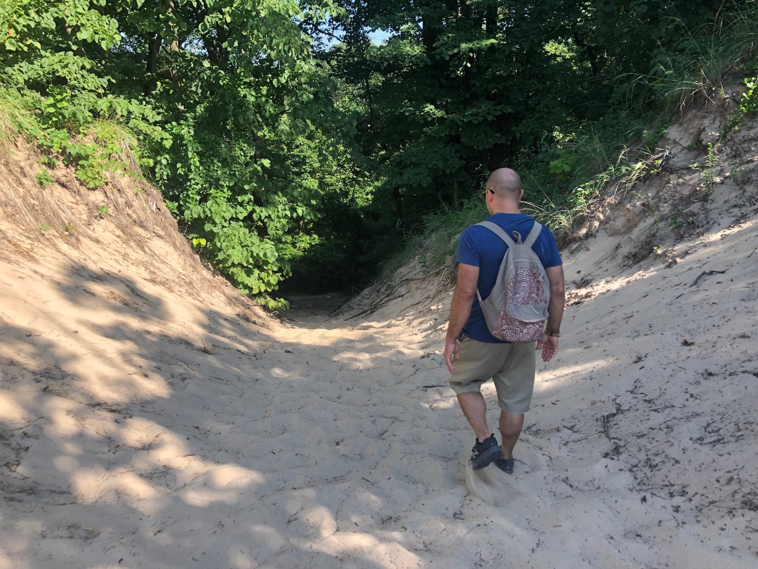 Indiana Dunes natural landscape hiking trails