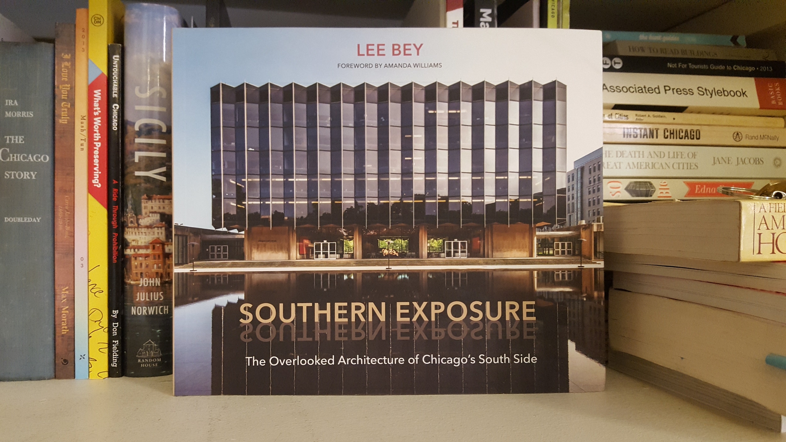 Southern Exposure Lee Bey Best Chicago Books