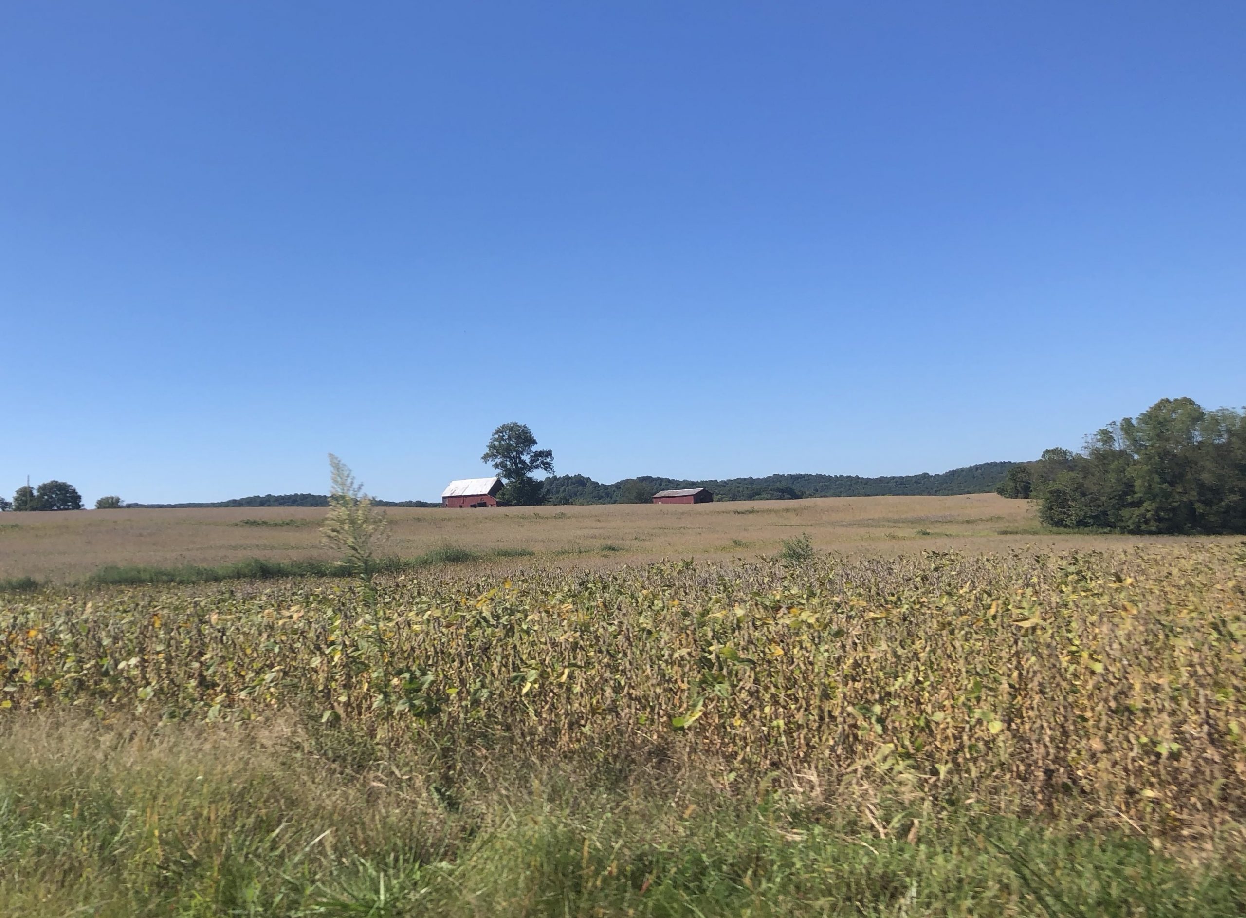 indiana landscape detour from chicago