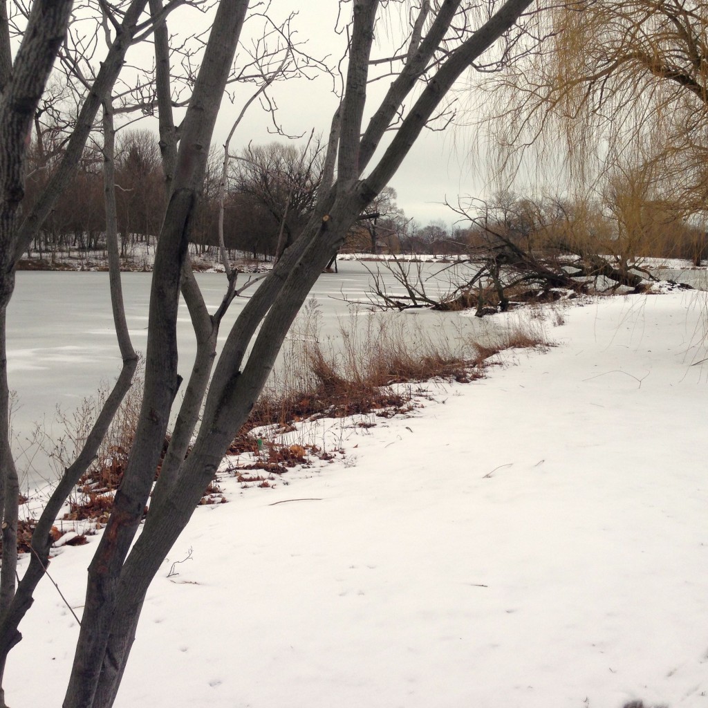 "washington park" chicago winter nature